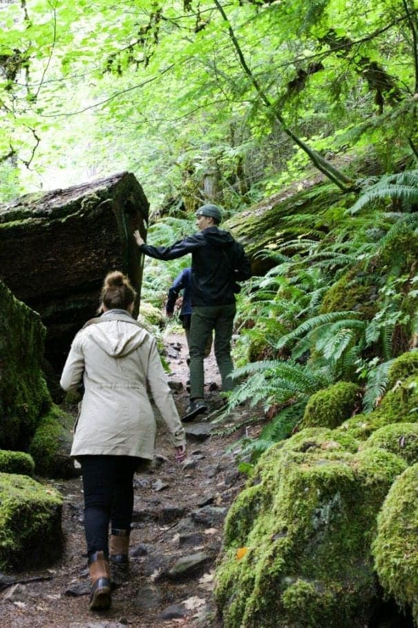 Explore Crater Lake National Park and Umpqua Forest