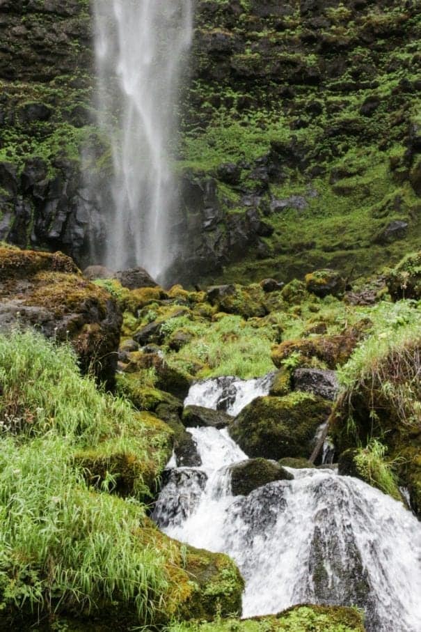 Watson Falls is a jewel in the midst of this emerald paradise that is Umpqua National Forest Oregon.