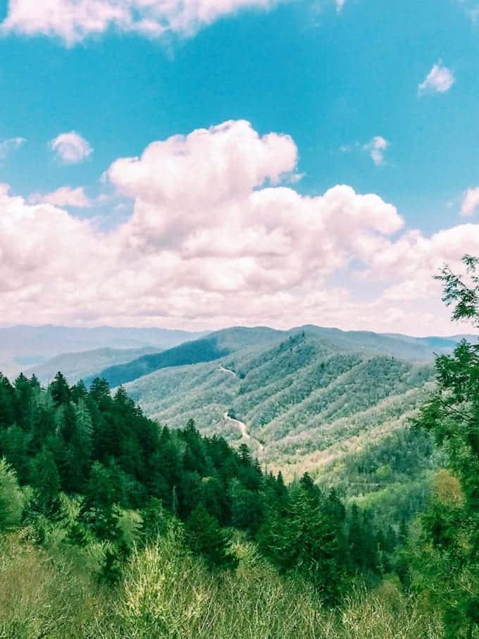 A lush green valley under partly cloudy skies in Great Smoky Mountain National Park, North Carolina. Taken in May 2018.