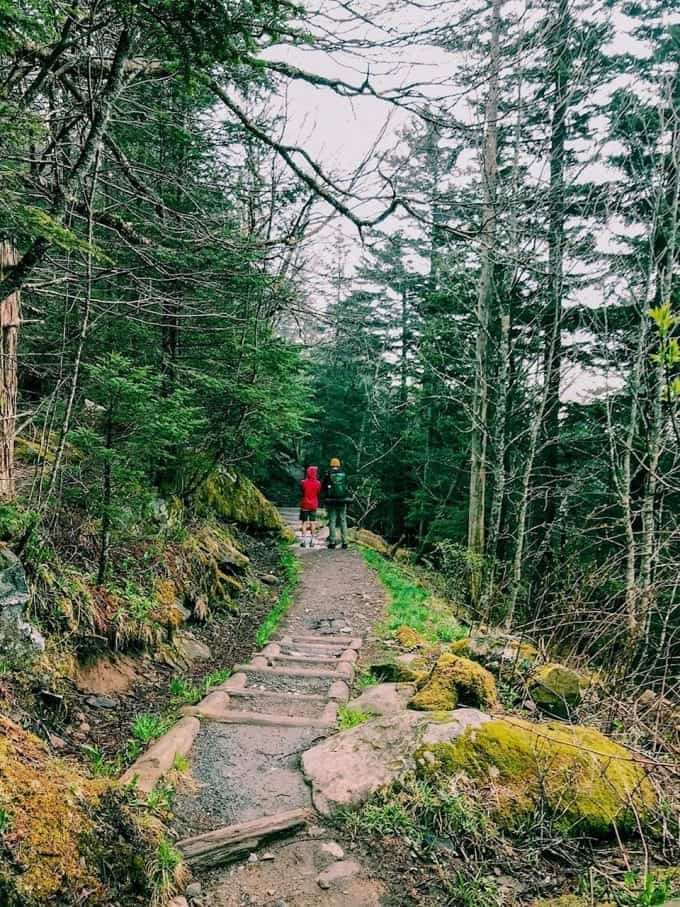 The pristine trail, with two hikers, leading to Andrew's Bald in Great Smoky Mountain National Park of North Carolina.