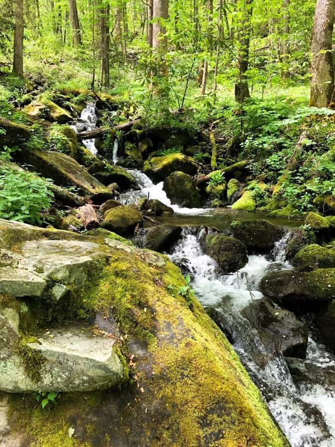 A gentle waterfall flows down the lush hillside in Great Smoky Mountains National Park, North Carolina