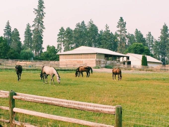 While on route from Banff National Park in Canada and heading to Vancouver, B.C., we made an overnight stop at one incredible place through Harvest Hosts: Scenic Road Cider Company.