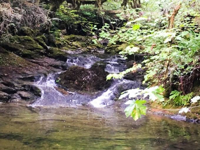 Umpqua National Forest is a vast natural wonder filled with stunning waterfalls that deserves weeks of exploration.