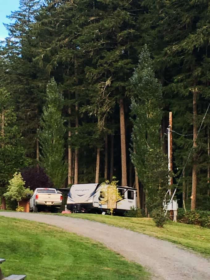 Crater Lake National Park and nearby Umpqua National Forest are natural wonders that deserve weeks of exploration. Here is our RV site surrounded by towering pines.