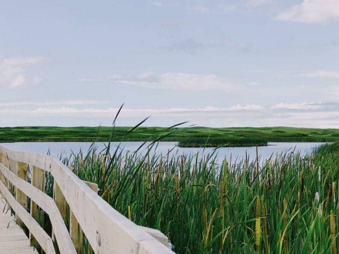 Prince Edward Island National Park Greenwich