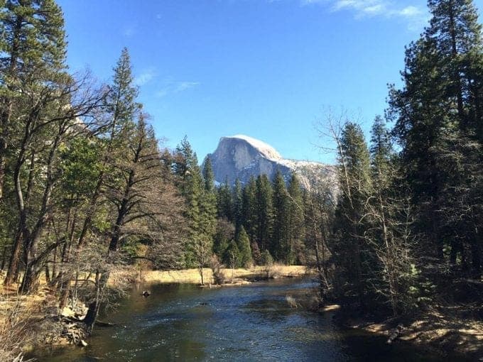 Lake surrounded by evergreen trees with mountain peak in background