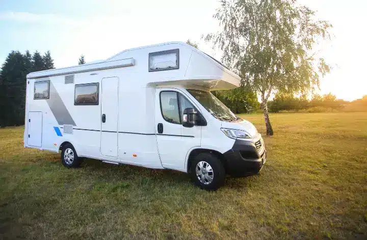 White motorhome parked outside on grass near single tree.