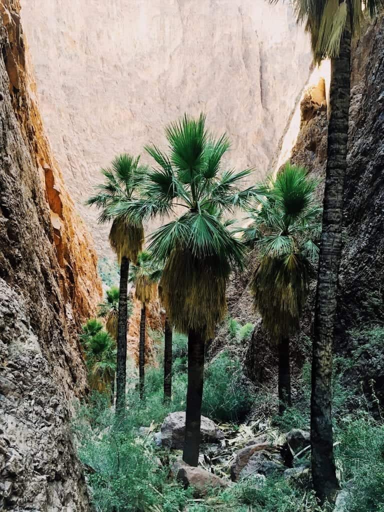 Hiking in Quartzsite Arizona