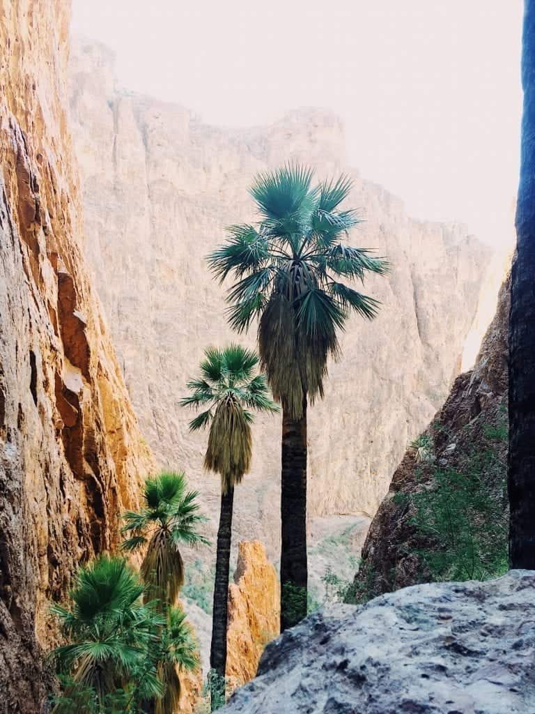 Hiking in Quartzsite Arizona