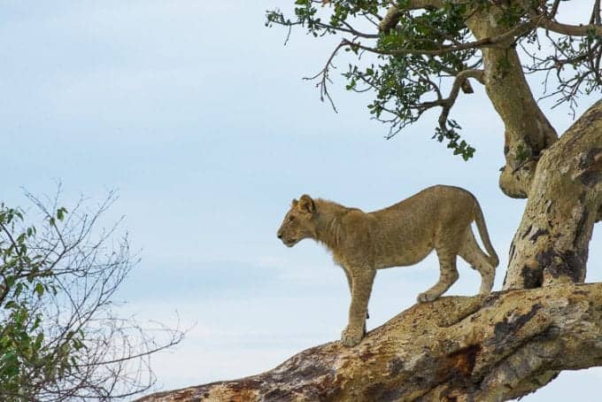 Serengeti National Park