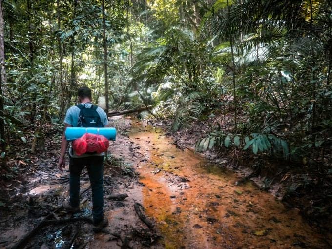 Taman Negara National Park