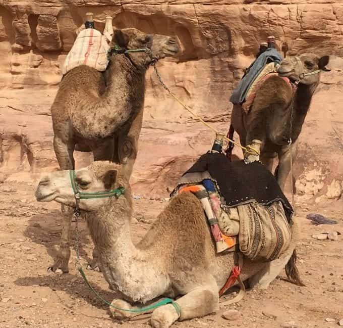 Wadi Rum National Park in Jordan