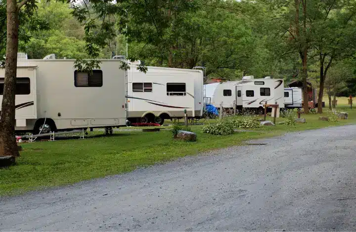 Six RVs parked near tree line at a campground