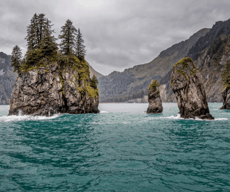 Kenai Fjords National Park