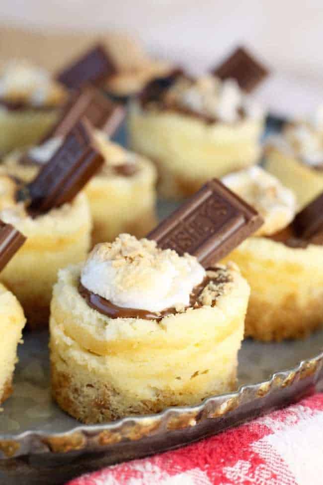 mini S'mores Cheesecake recipe