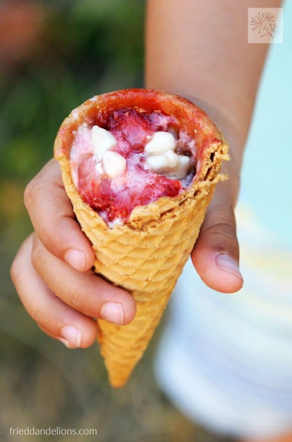 Campfire Desserts - Campfire Cones Three Ways