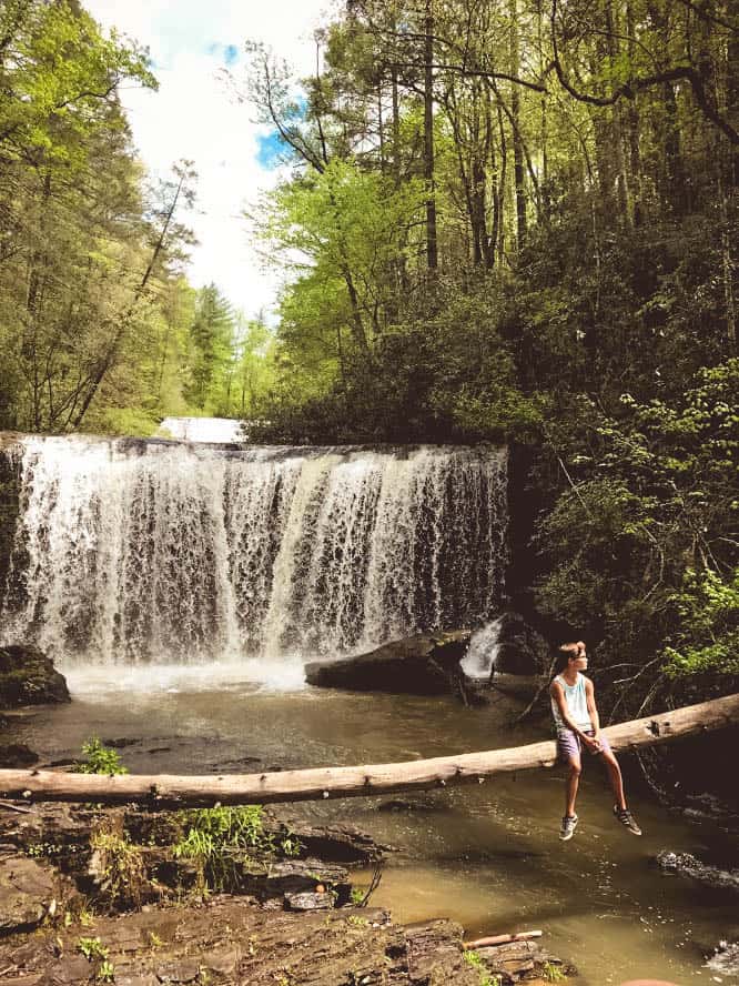 Brasstown Falls hike