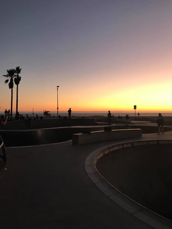 venice beach skate park