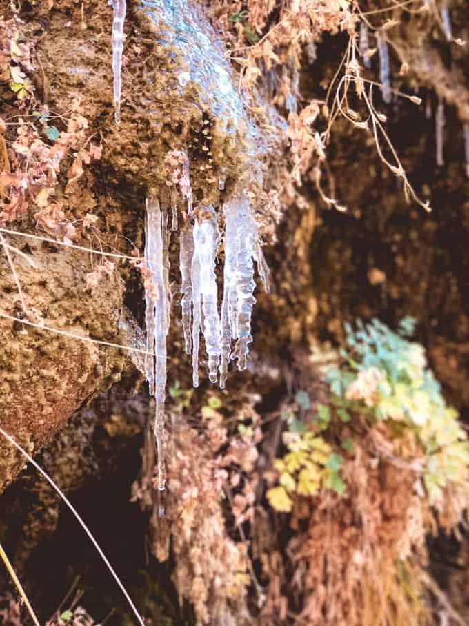 Zion National Park pictures