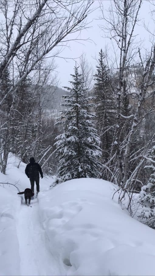 Black Hills South Dakota in Winter