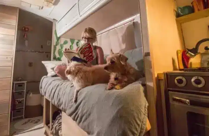 Woman with two dogs inside a used RV she renovated