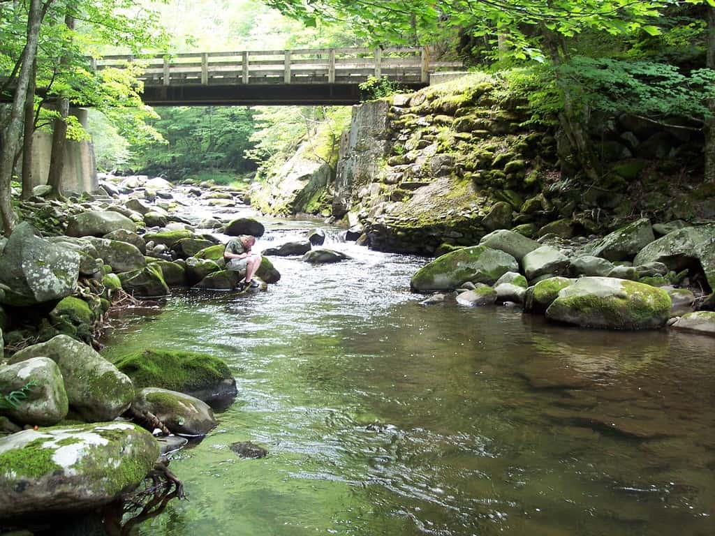 Hiking in Great Smoky Mountains