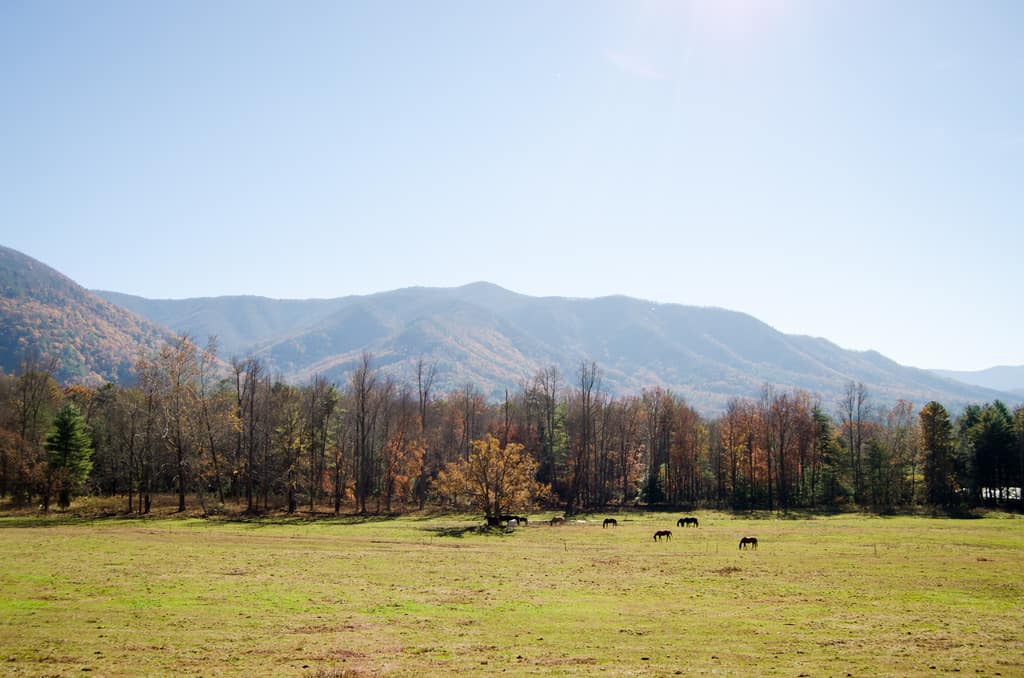 Great Smoky Mountains RV Trip