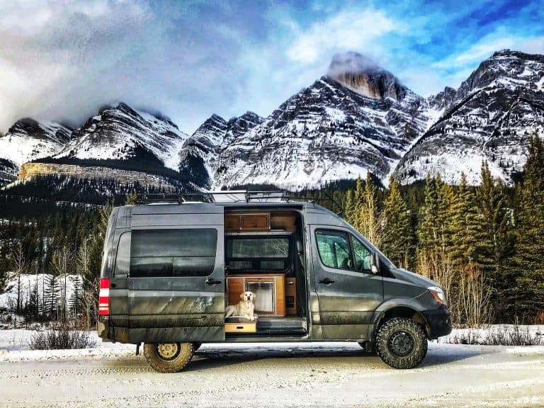 White lab inside campervan by mountains