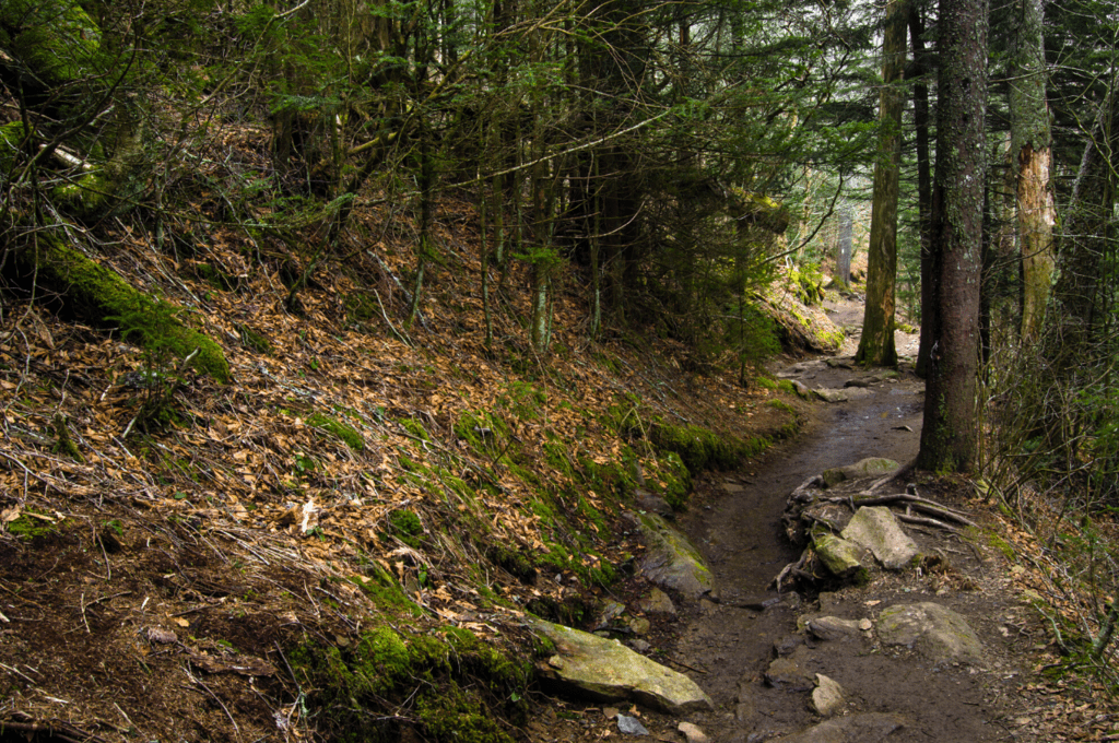 Appalachian trail