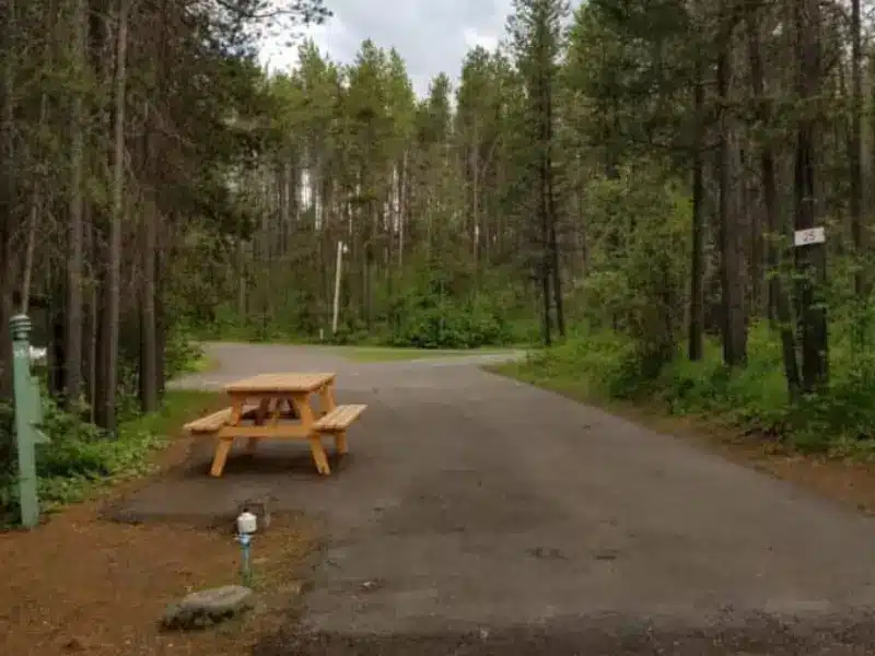 Empty campsite with picnic table at Moose Creek RV Park.