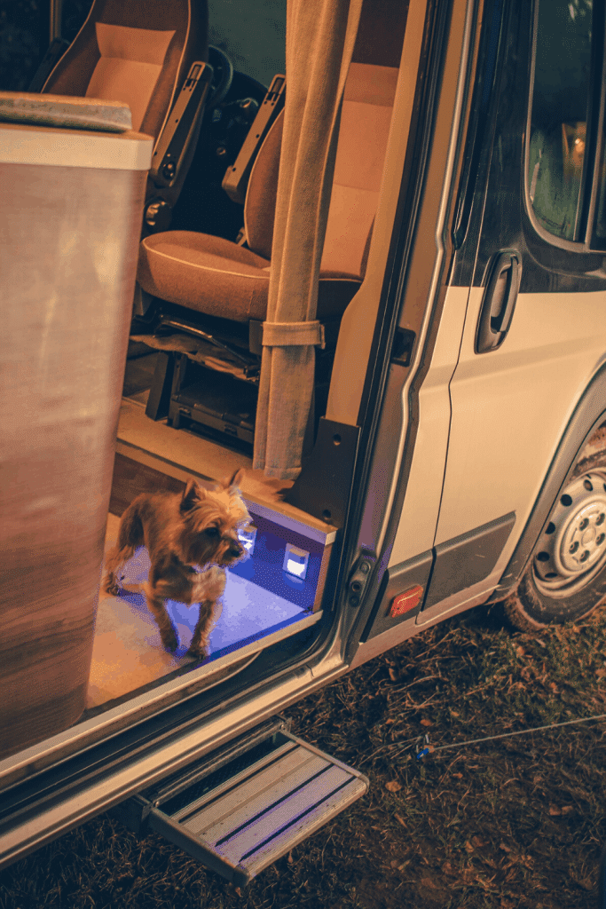 Small dog at interior entrance of RV