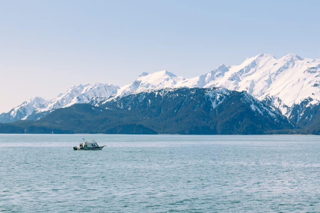 the missing lynx seward ocean excusrisions