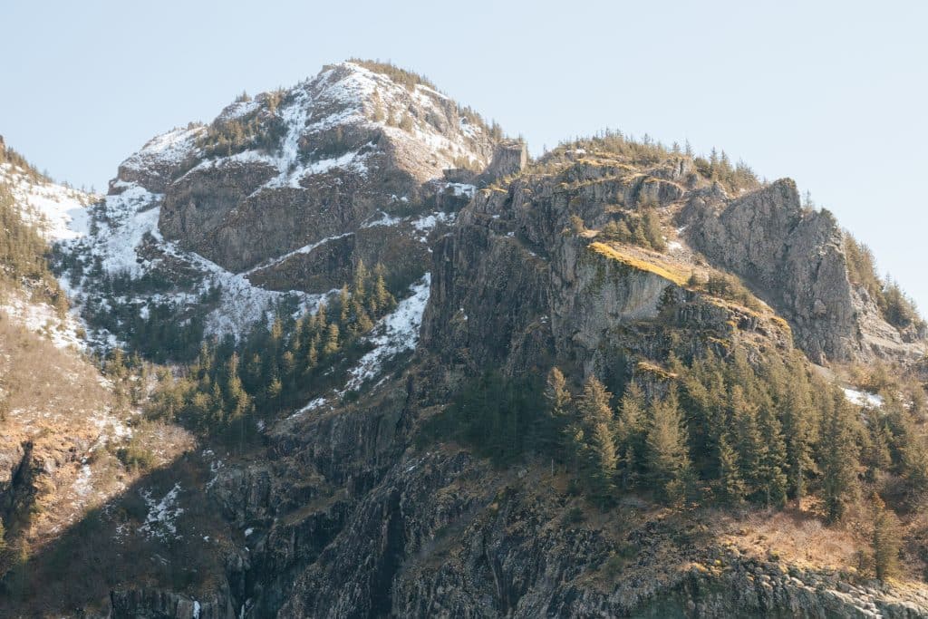 wildlife boat tours seward alaska