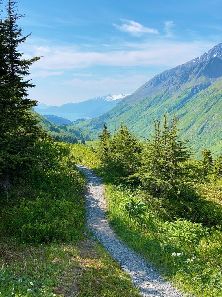 view of resurrection bay in seward alaska