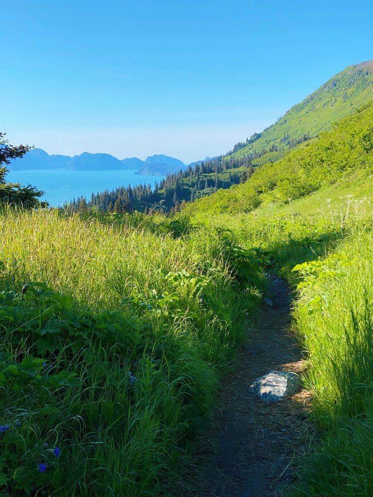 marathon bowl seward alaska