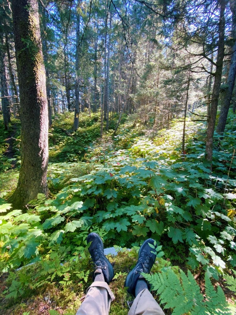 taking a moment on the trail in seward alaska