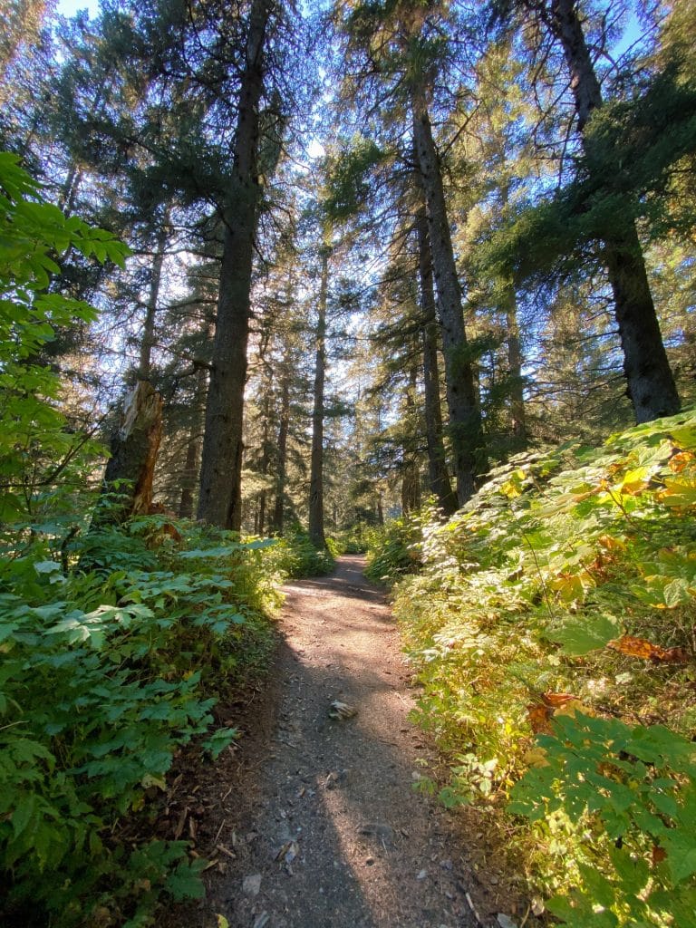 mt marathon hikers trail