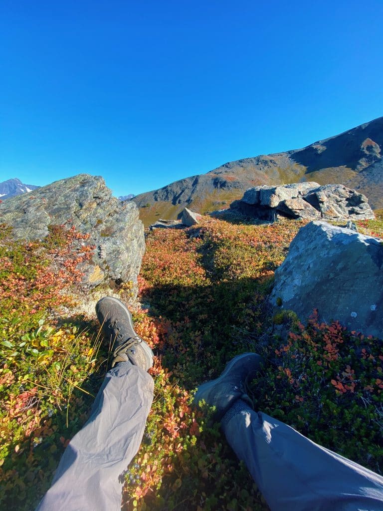 tranquil spot on hiking trail in seward