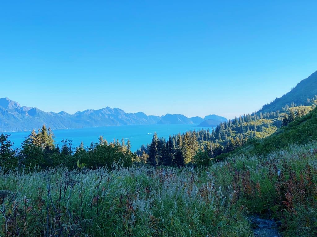 best seward alaska hikes