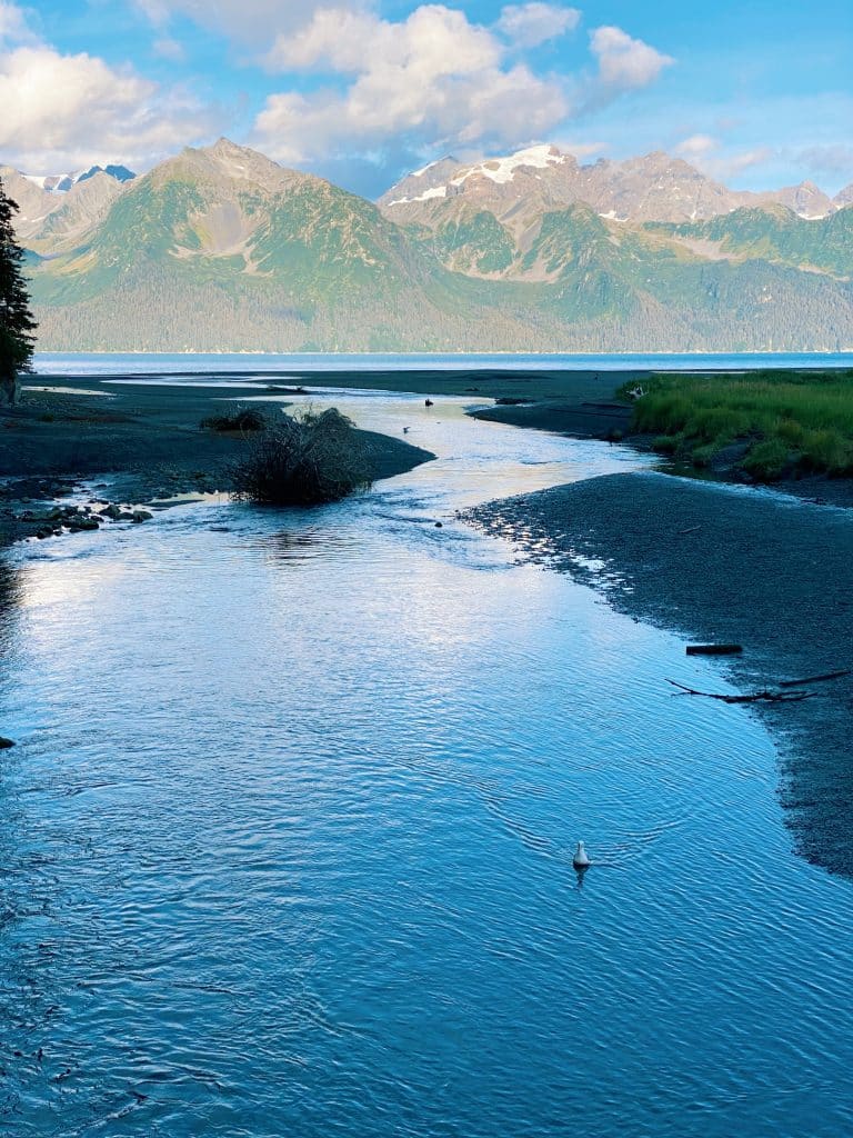 Lake and mountain range view seen from a hiking trail in Seward Alaska