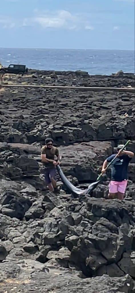 catching fish south point big island hawaii