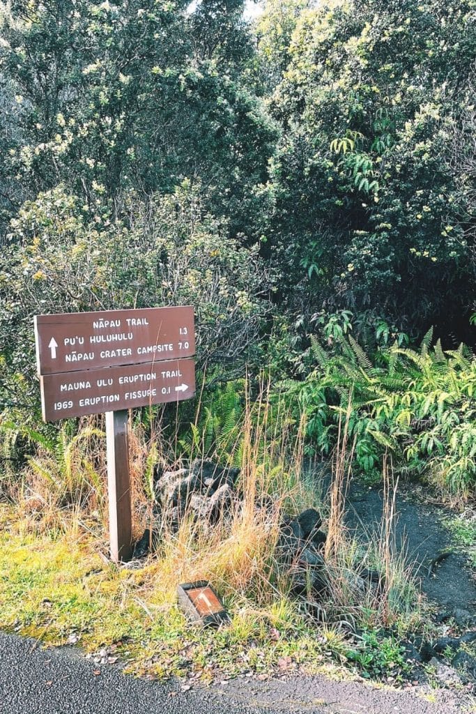 hawaii volcanoes national park hikes