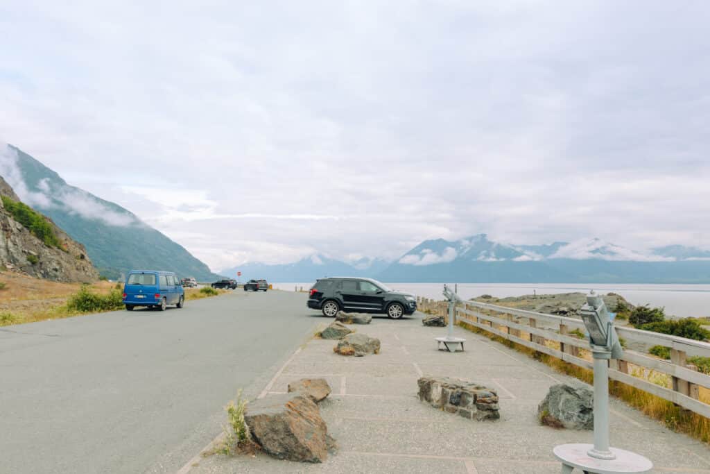 spotting beluga whales at beluga point in alaska