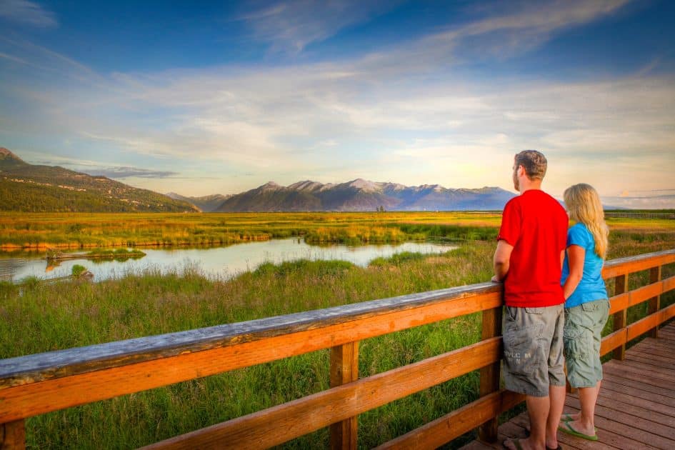 view from a wooden trail in alaska