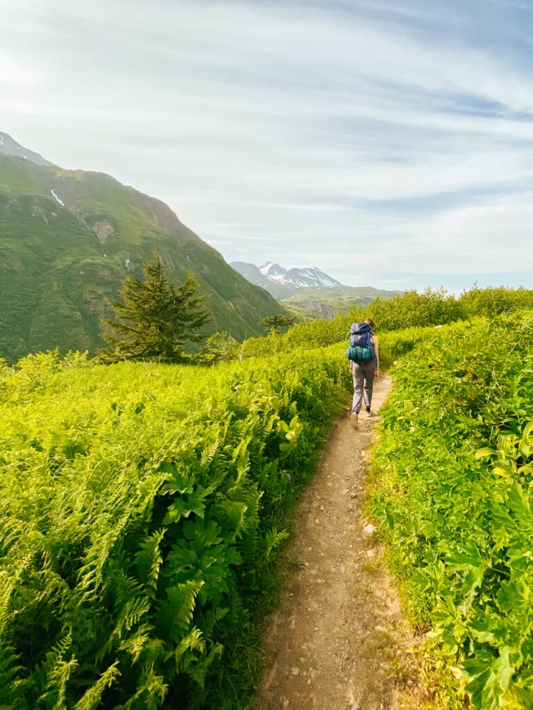 hiking the lost lake trail in seward alaska