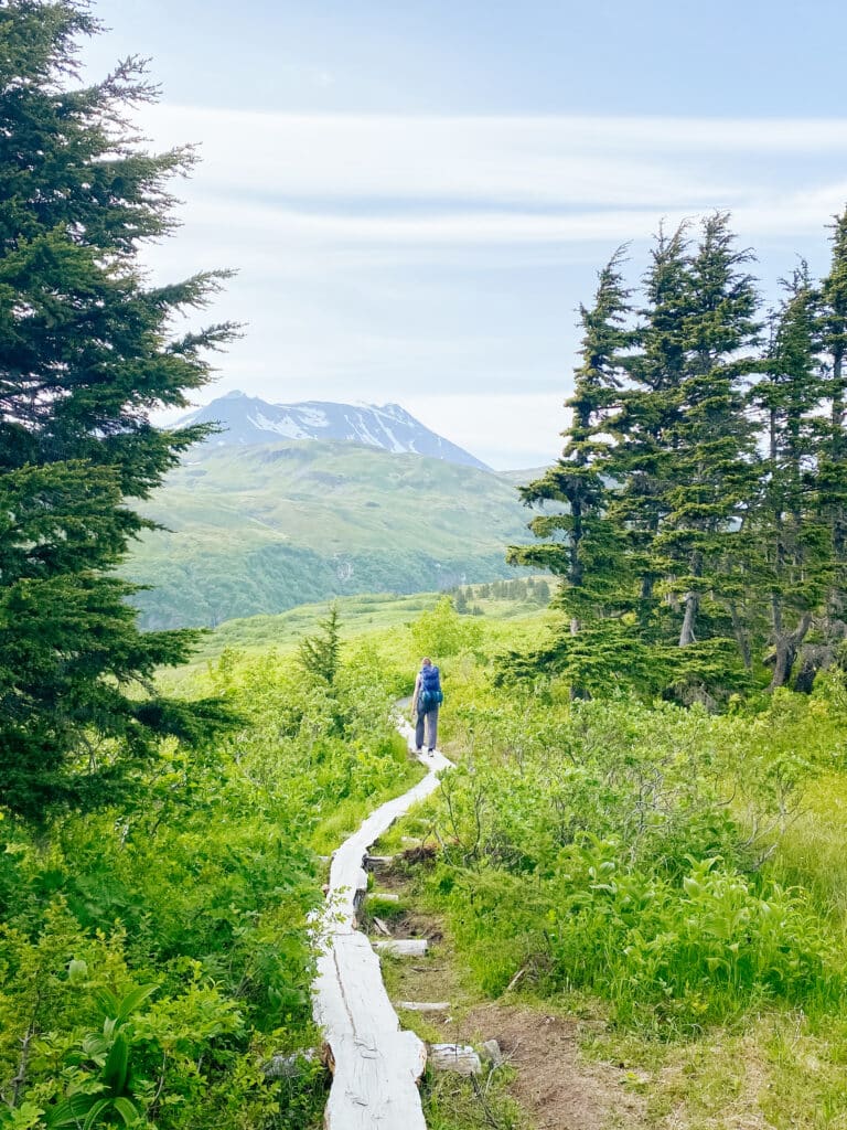 one of the best hikes seward alaska