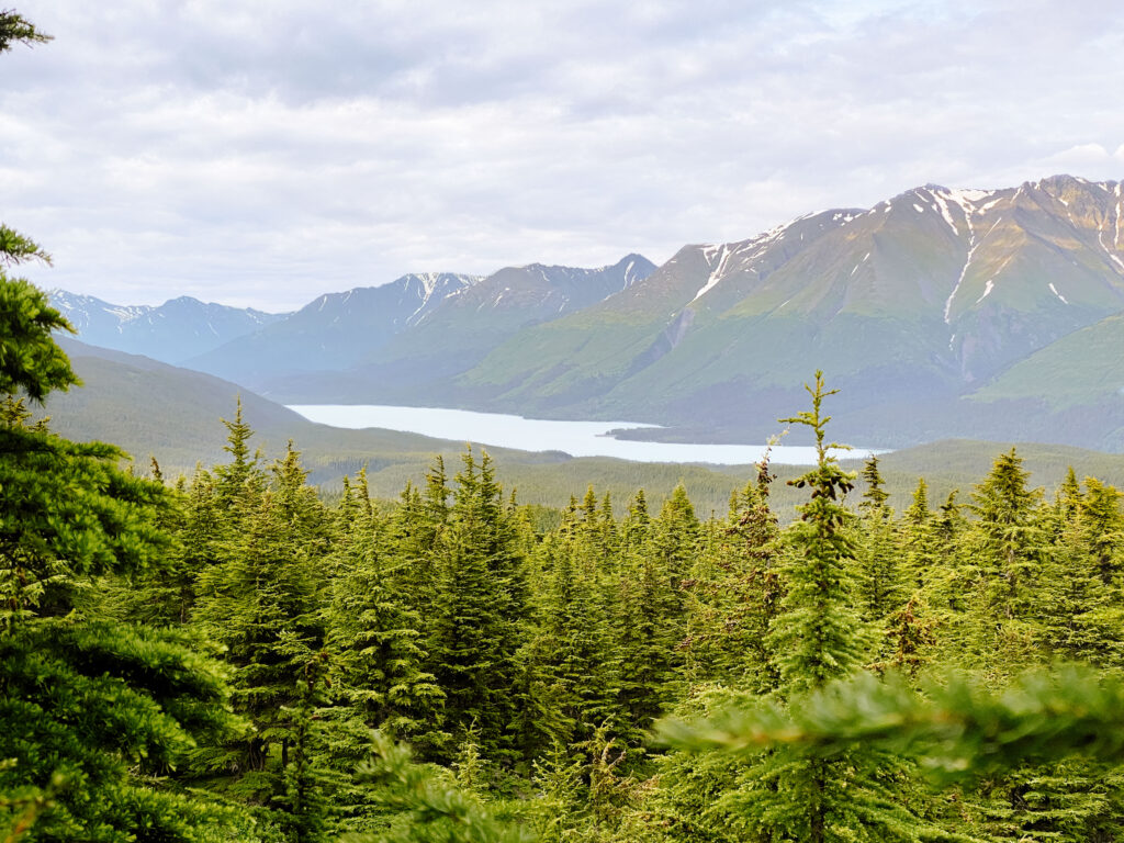 lost lake views seward alaska