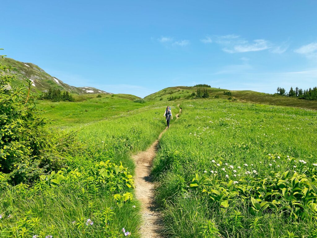 hiking trail in seward alaska