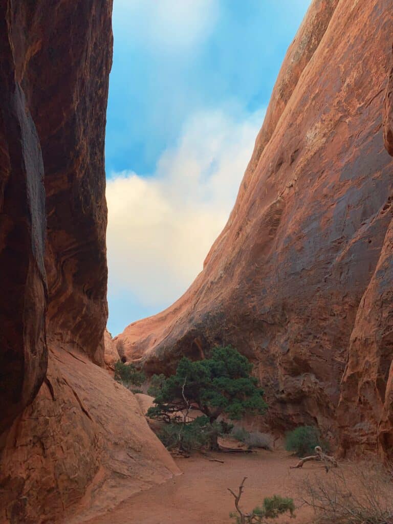 secret area behind navajo arch