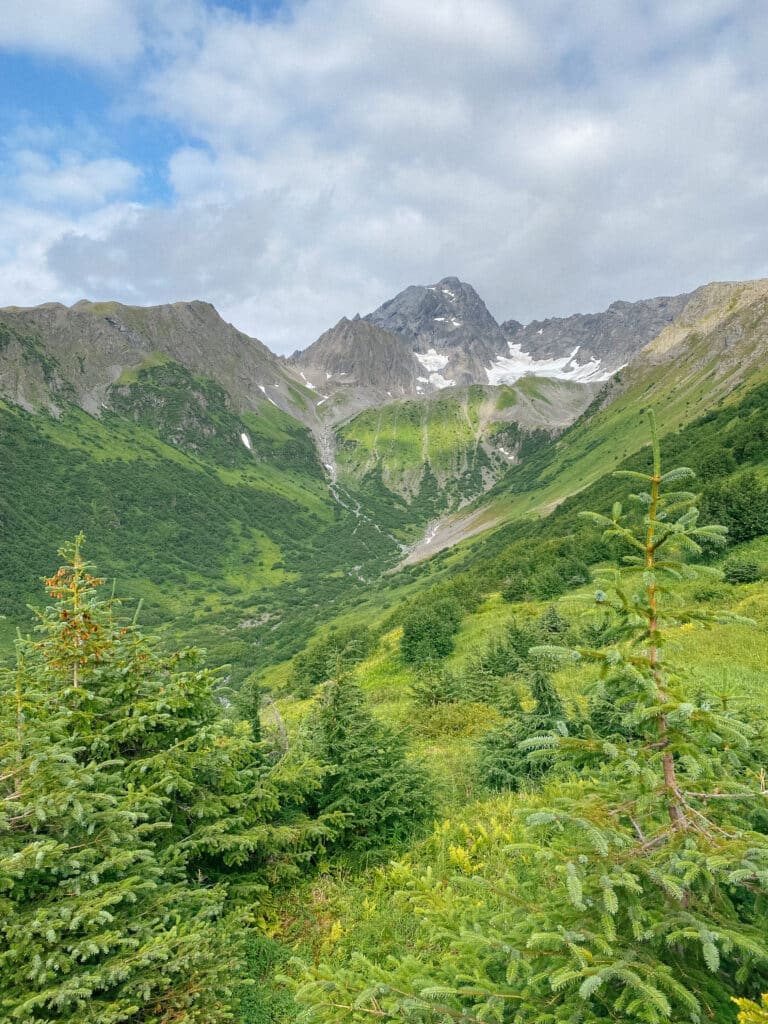 tallest mountain in seward, alaska